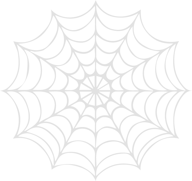 Spiderweb illustration