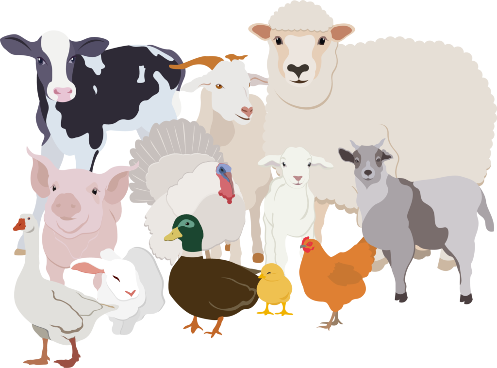 Collection of farmed animals illustrated by Tara Sleeman